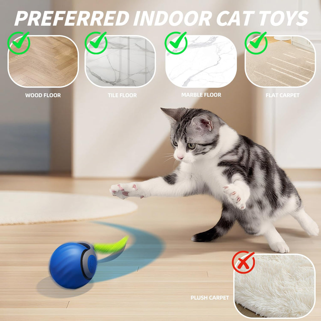 Kitten speelt met het automatische rollende kattenspeeltje op een houten vloer