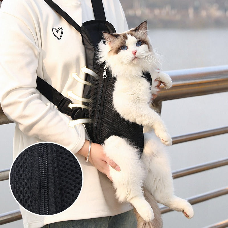 Witte kat zit rechtop in de zwarte borstdraagzak, voorop het lichaam gedragen